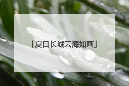 夏日长城云海如画