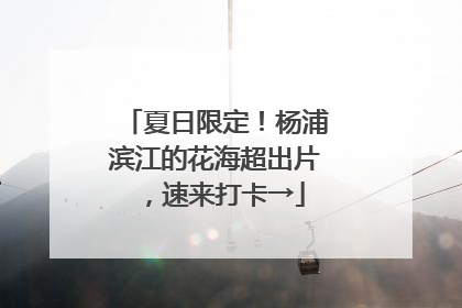 夏日限定！杨浦滨江的花海超出片，速来打卡→