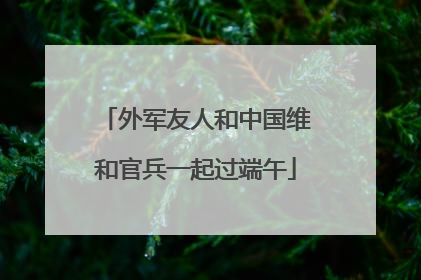 外军友人和中国维和官兵一起过端午