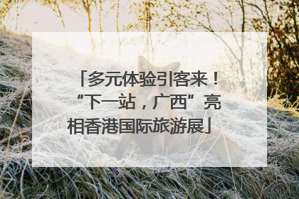 多元体验引客来！“下一站，广西”亮相香港国际旅游展