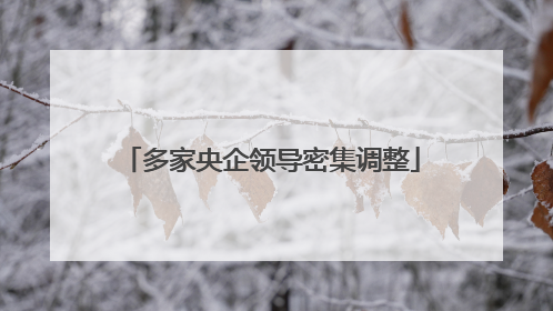 多家央企领导密集调整