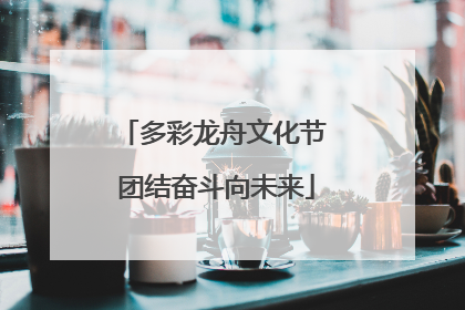 多彩龙舟文化节 团结奋斗向未来