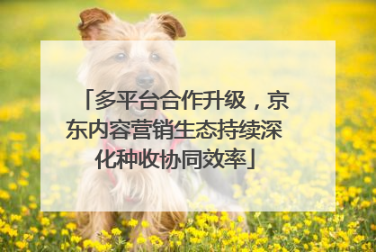 多平台合作升级，京东内容营销生态持续深化种收协同效率
