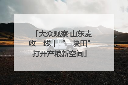 大众观察·山东麦收一线丨“一块田”打开产粮新空间