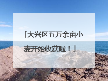 大兴区五万余亩小麦开始收获啦！