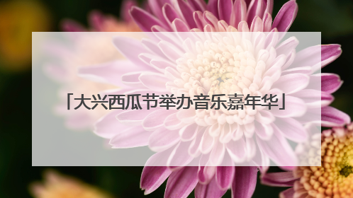 大兴西瓜节举办音乐嘉年华