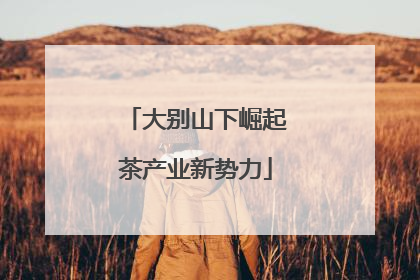 大别山下崛起茶产业新势力