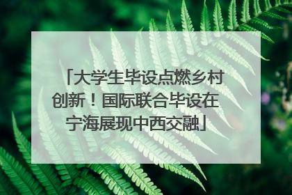 大学生毕设点燃乡村创新！国际联合毕设在宁海展现中西交融