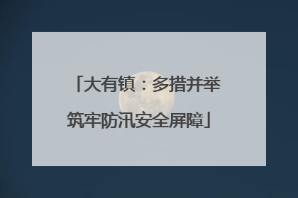大有镇：多措并举筑牢防汛安全屏障