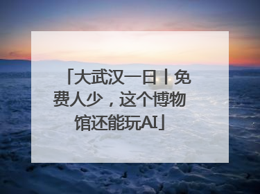大武汉一日丨免费人少，这个博物馆还能玩AI