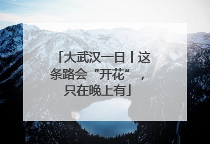 大武汉一日丨这条路会“开花”，只在晚上有