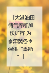 大港油田储气库群加快扩容 为京津冀冬季保供“蓄能”