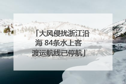 大风侵扰浙江沿海 84条水上客渡运航线已停航