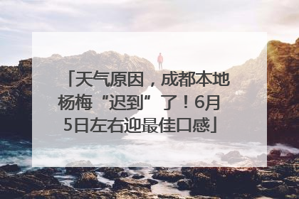 天气原因，成都本地杨梅“迟到”了！6月5日左右迎最佳口感
