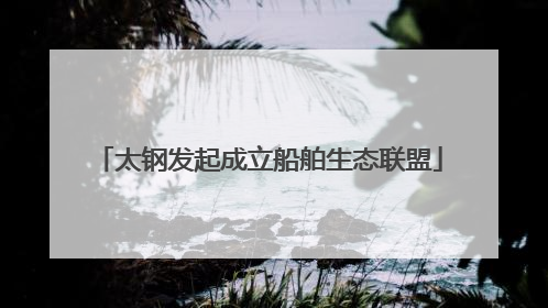 太钢发起成立船舶生态联盟