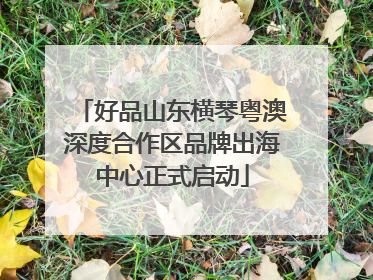 好品山东横琴粤澳深度合作区品牌出海中心正式启动