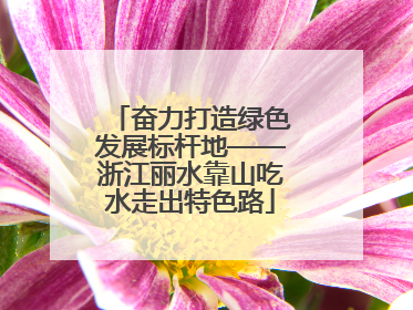 奋力打造绿色发展标杆地——浙江丽水靠山吃水走出特色路