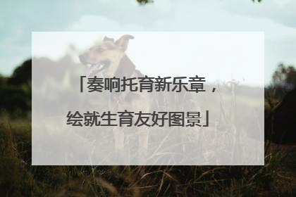 奏响托育新乐章，绘就生育友好图景