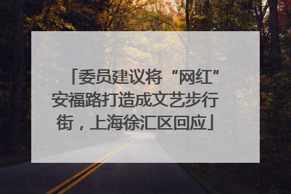委员建议将“网红”安福路打造成文艺步行街，上海徐汇区回应