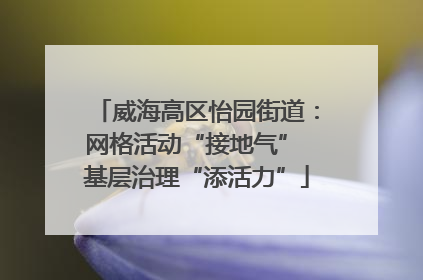 威海高区怡园街道：网格活动“接地气” 基层治理“添活力”