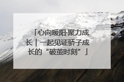 心向暖阳·聚力成长｜一起见证骄子成长的“破茧时刻”