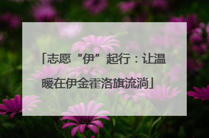 志愿“伊”起行：让温暖在伊金霍洛旗流淌