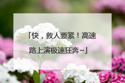 快，救人要紧！高速路上演极速狂奔~