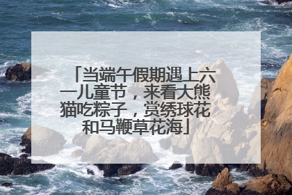 当端午假期遇上六一儿童节，来看大熊猫吃粽子，赏绣球花和马鞭草花海