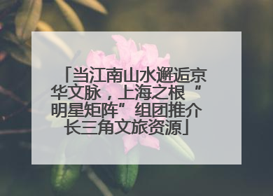 当江南山水邂逅京华文脉，上海之根“明星矩阵”组团推介长三角文旅资源