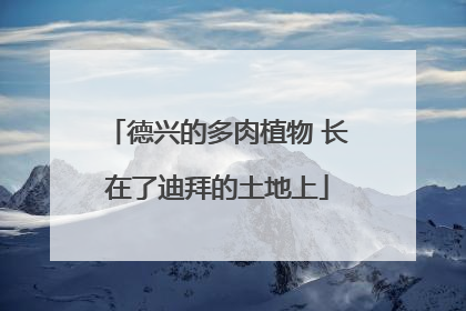 德兴的多肉植物 长在了迪拜的土地上
