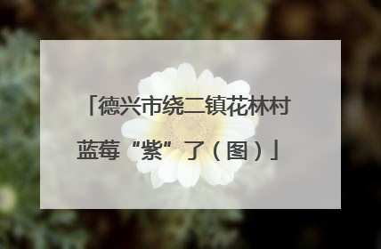 德兴市绕二镇花林村蓝莓“紫”了（图）