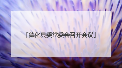 德化县委常委会召开会议
