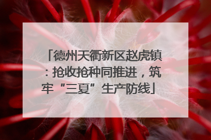 德州天衢新区赵虎镇：抢收抢种同推进，筑牢“三夏”生产防线