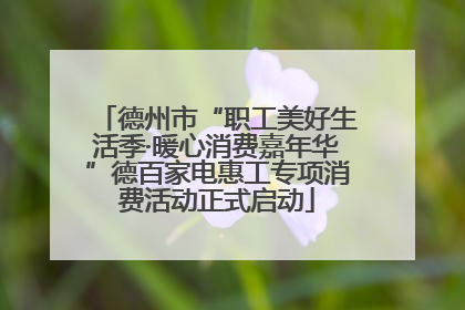 德州市“职工美好生活季·暖心消费嘉年华”德百家电惠工专项消费活动正式启动