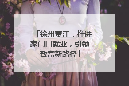 徐州贾汪：推进家门口就业，引领致富新路径