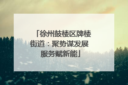 徐州鼓楼区牌楼街道：聚势谋发展 服务赋新能