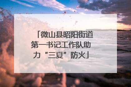 微山县昭阳街道第一书记工作队助力“三夏”防火