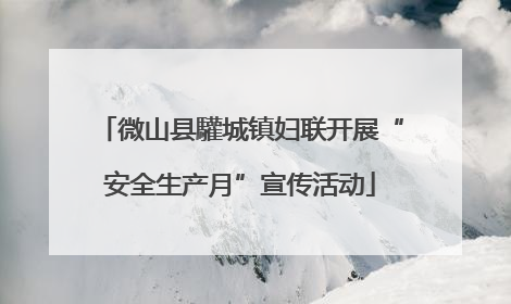 微山县驩城镇妇联开展“安全生产月”宣传活动
