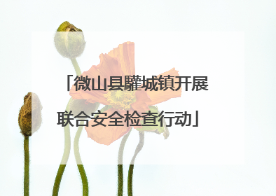 微山县驩城镇开展联合安全检查行动