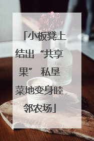小板凳上结出“共享果” 私垦菜地变身睦邻农场