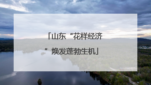 山东“花样经济”焕发蓬勃生机