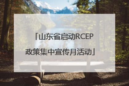 山东省启动RCEP政策集中宣传月活动