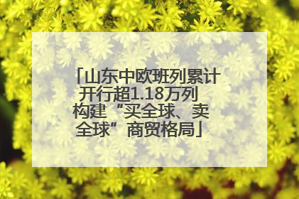 山东中欧班列累计开行超1.18万列 构建“买全球、卖全球”商贸格局