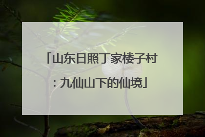 山东日照丁家楼子村：九仙山下的仙境