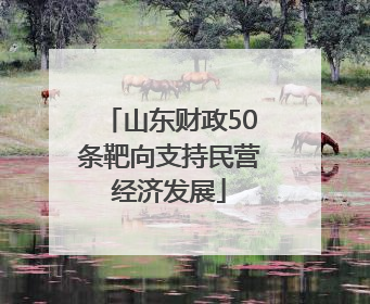 山东财政50条靶向支持民营经济发展