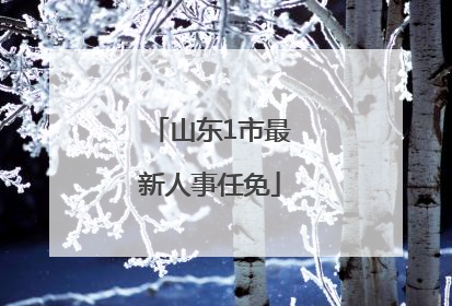 山东1市最新人事任免