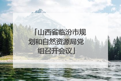 山西省临汾市规划和自然资源局党组召开会议