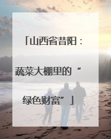 山西省昔阳：蔬菜大棚里的“绿色财富”