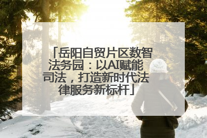 岳阳自贸片区数智法务园：以AI赋能司法，打造新时代法律服务新标杆