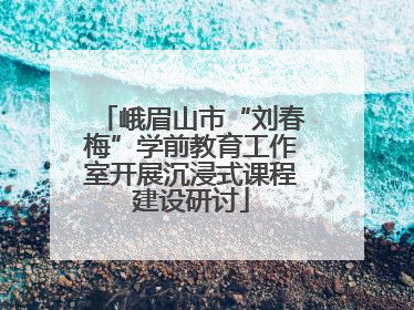 峨眉山市“刘春梅”学前教育工作室开展沉浸式课程建设研讨